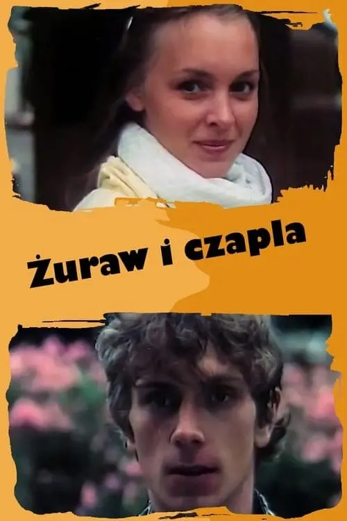Zuraw i czapla_peliplat