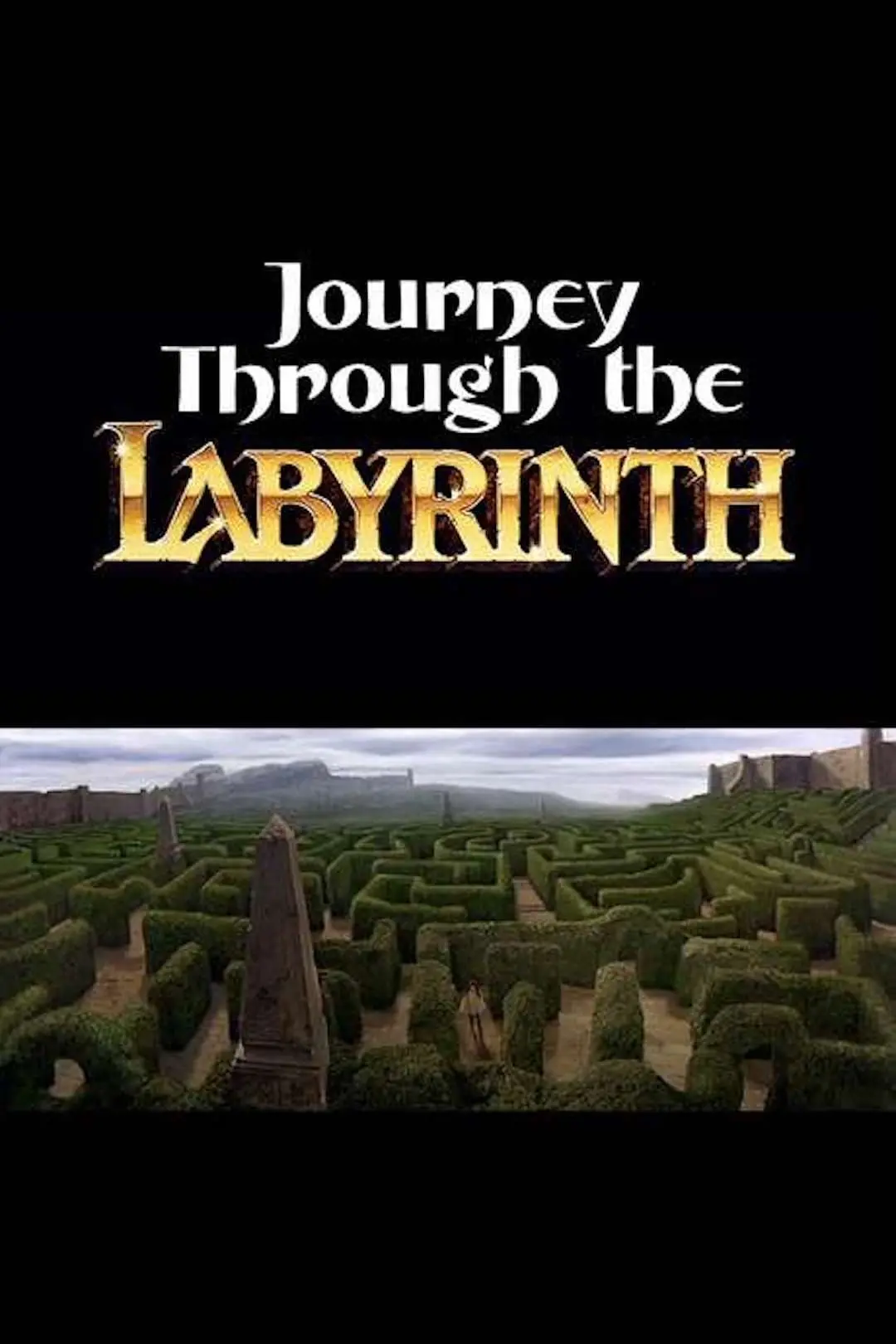 Journey Through the Labyrinth_peliplat