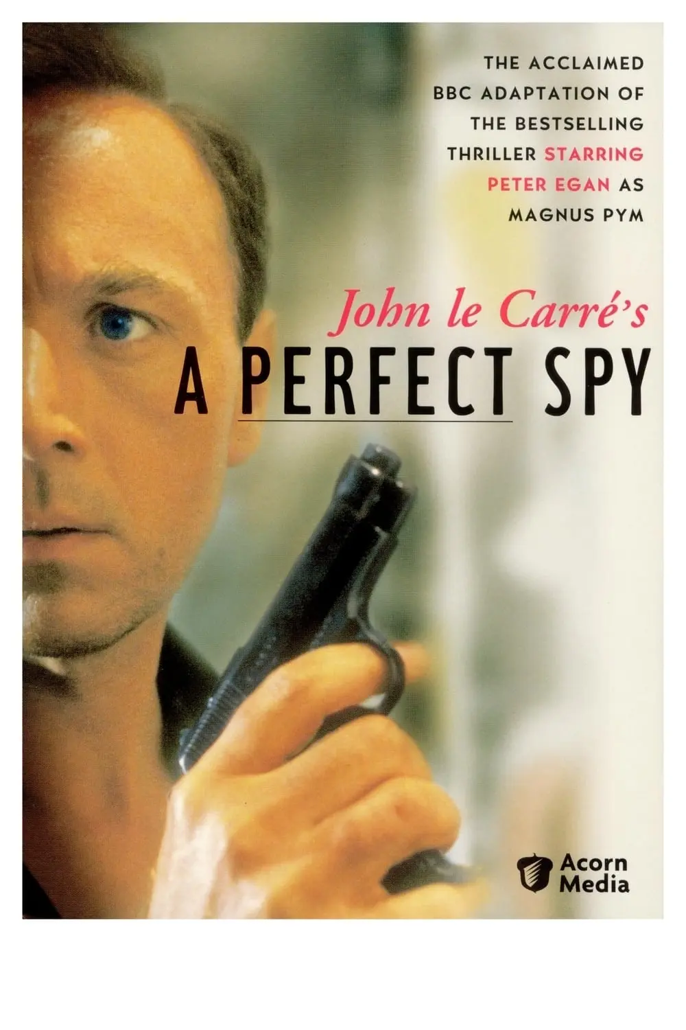 A Perfect Spy_peliplat