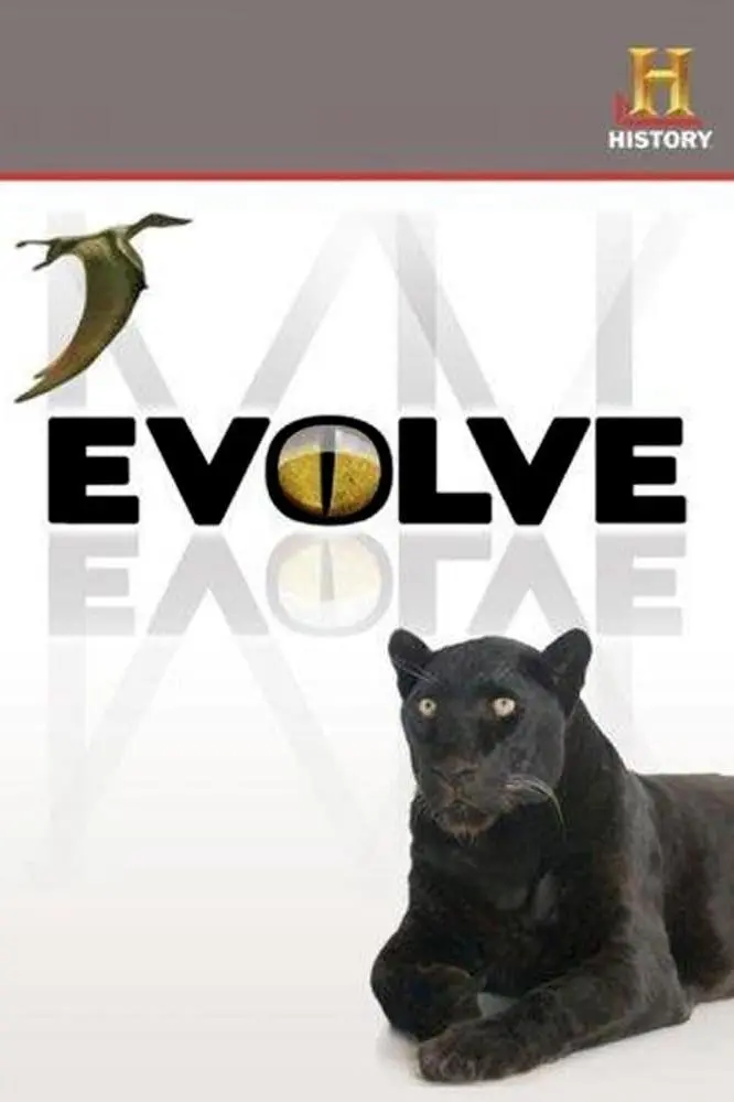 Evolve_peliplat