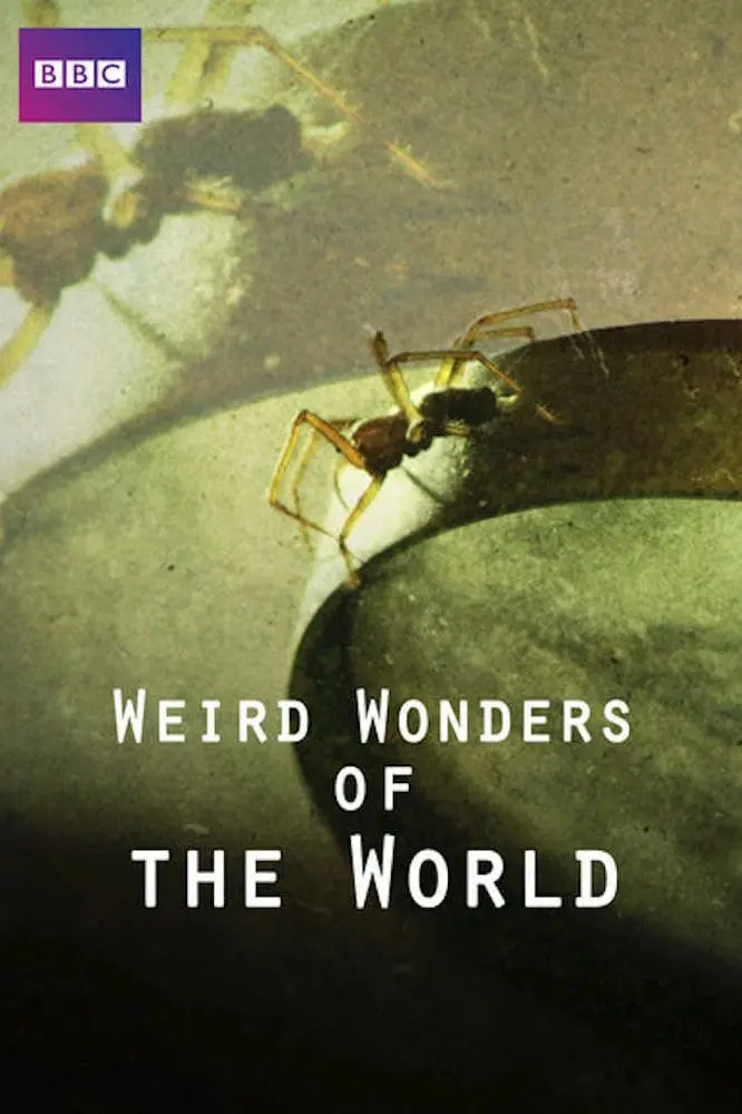 Weird Wonders of the World_peliplat