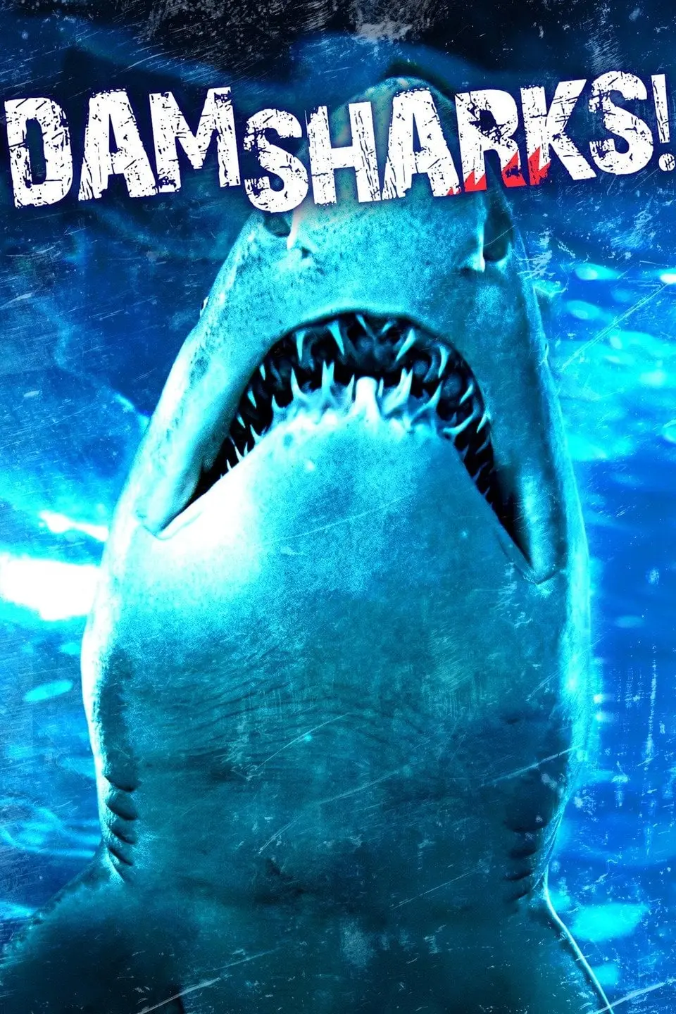 Dam Sharks_peliplat