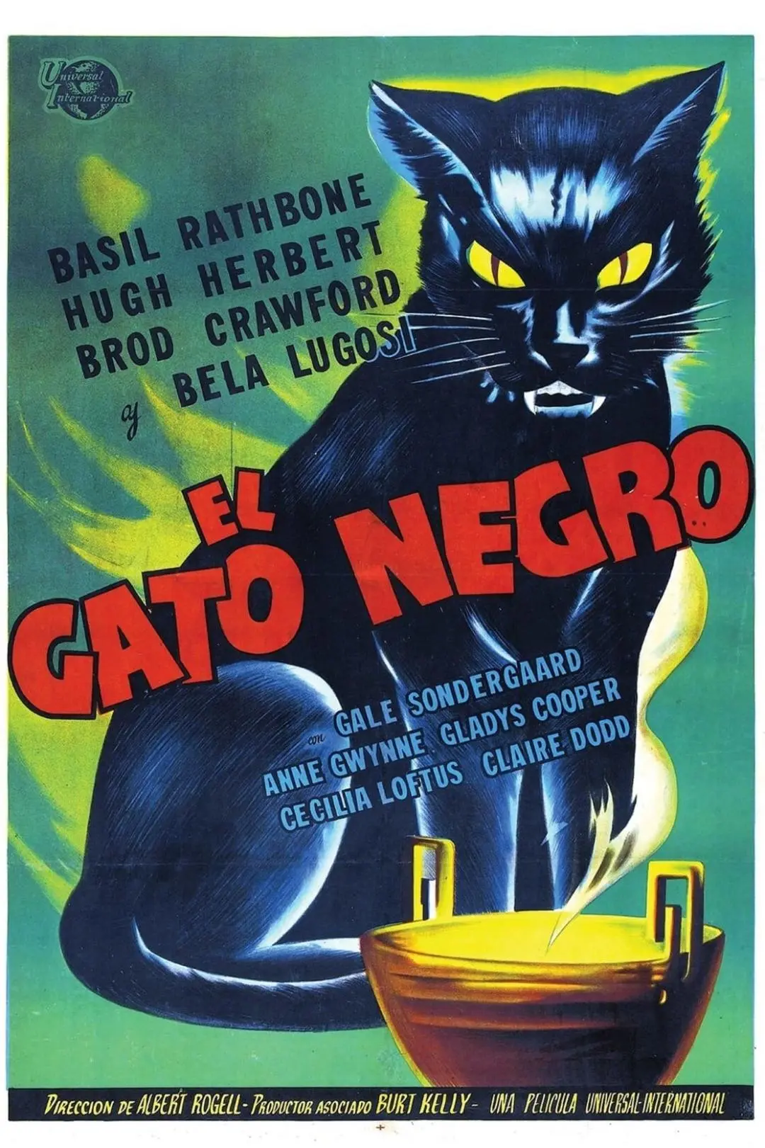 El gato negro_peliplat
