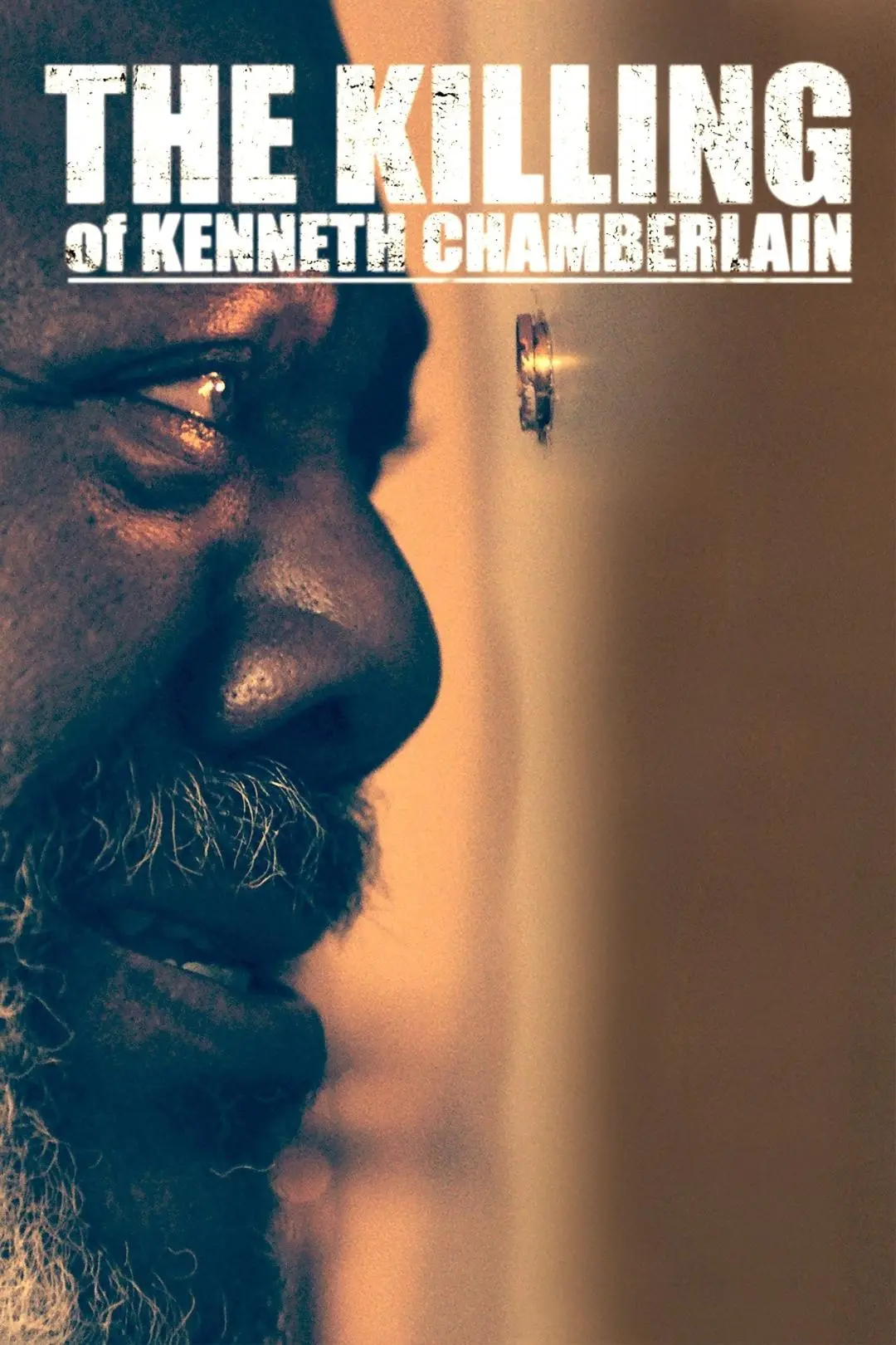 O Assassinato de Kenneth Chamberlain_peliplat