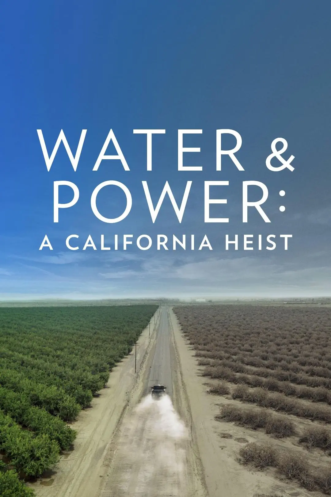 Water & Power: A California Heist_peliplat