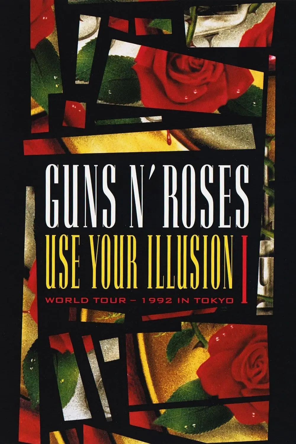 Guns N' Roses: Use Your Illusion I_peliplat