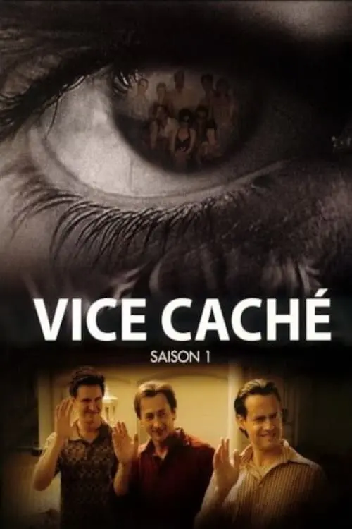 Vice caché_peliplat