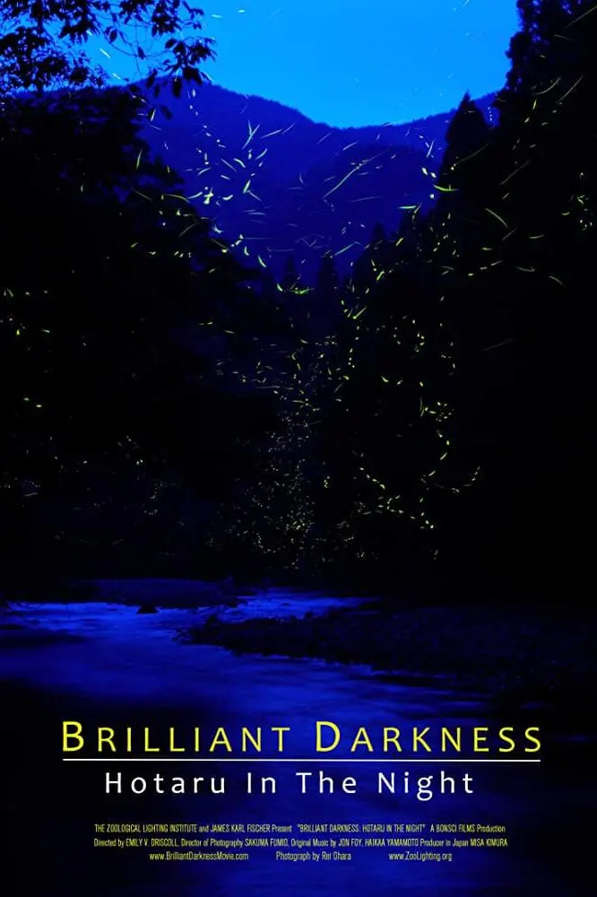 Brilliant Darkness: Hotaru in the Night_peliplat