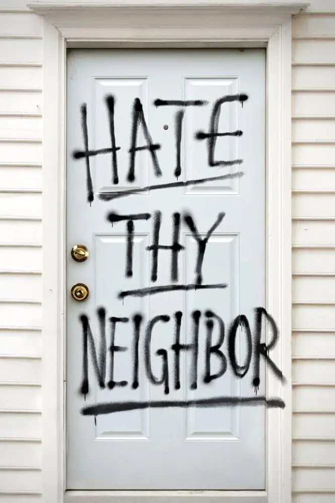 Hate Thy Neighbour_peliplat