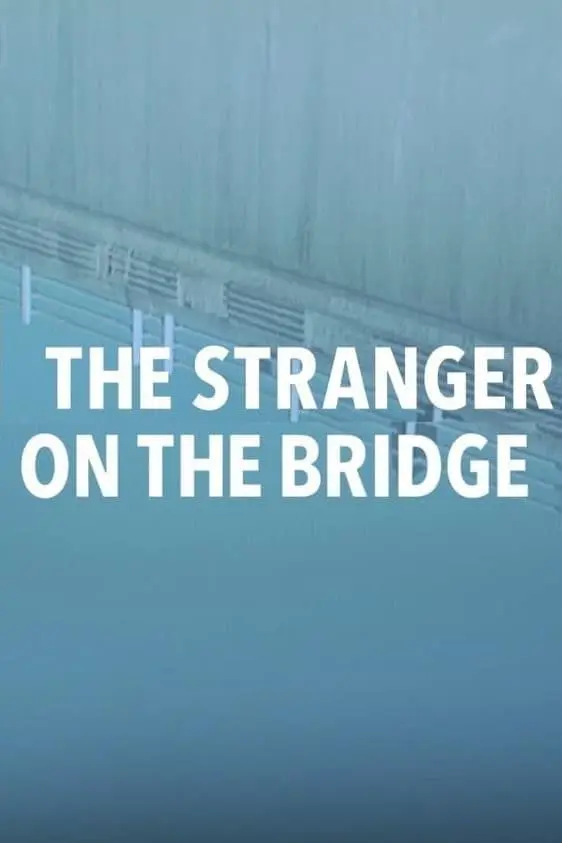 The Stranger on the Bridge_peliplat