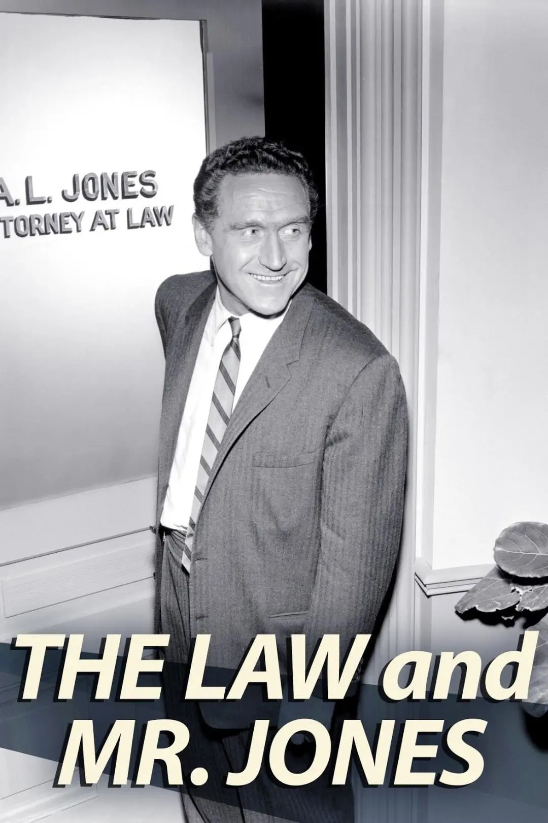 The Law and Mr. Jones_peliplat