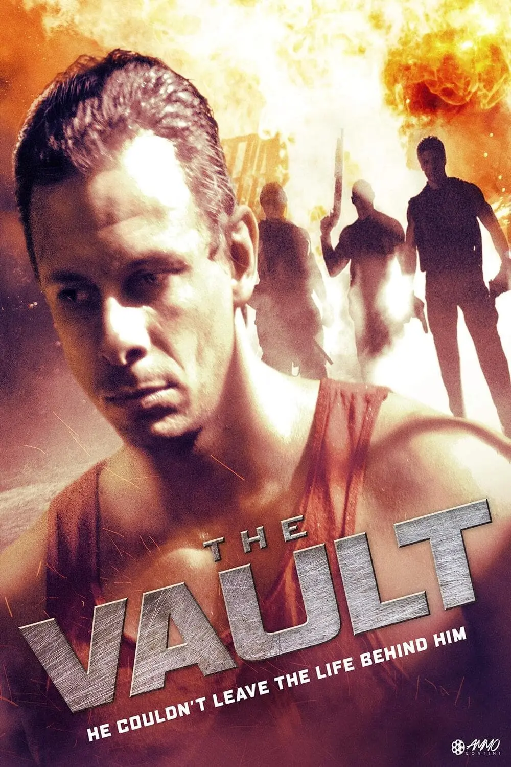 The Vault_peliplat