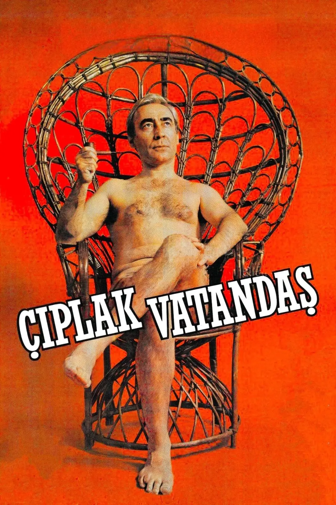 The Naked Citizen_peliplat