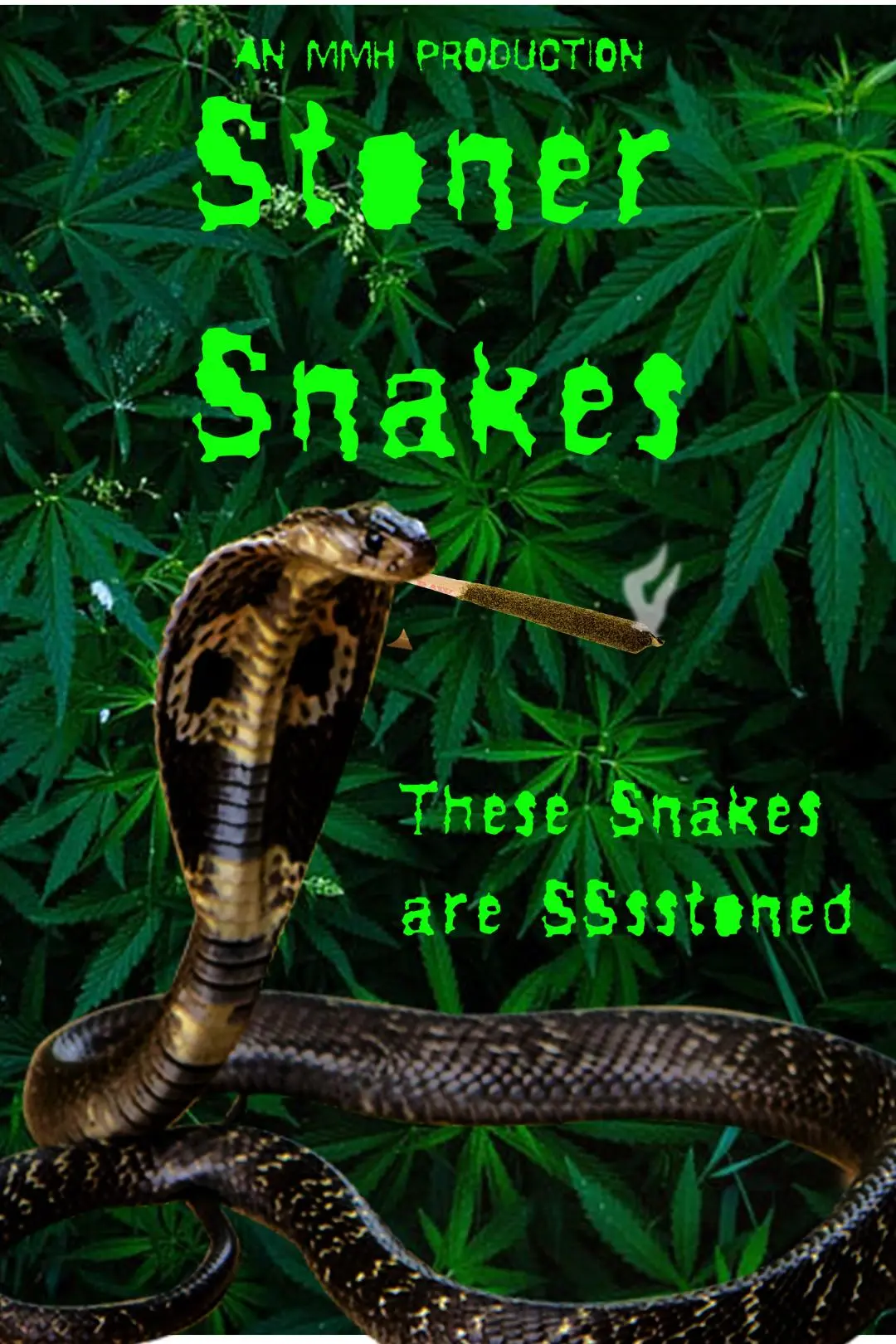 Stoner Snakes_peliplat