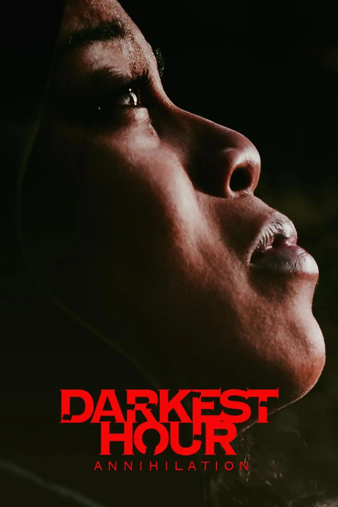 Darkest Hour_peliplat