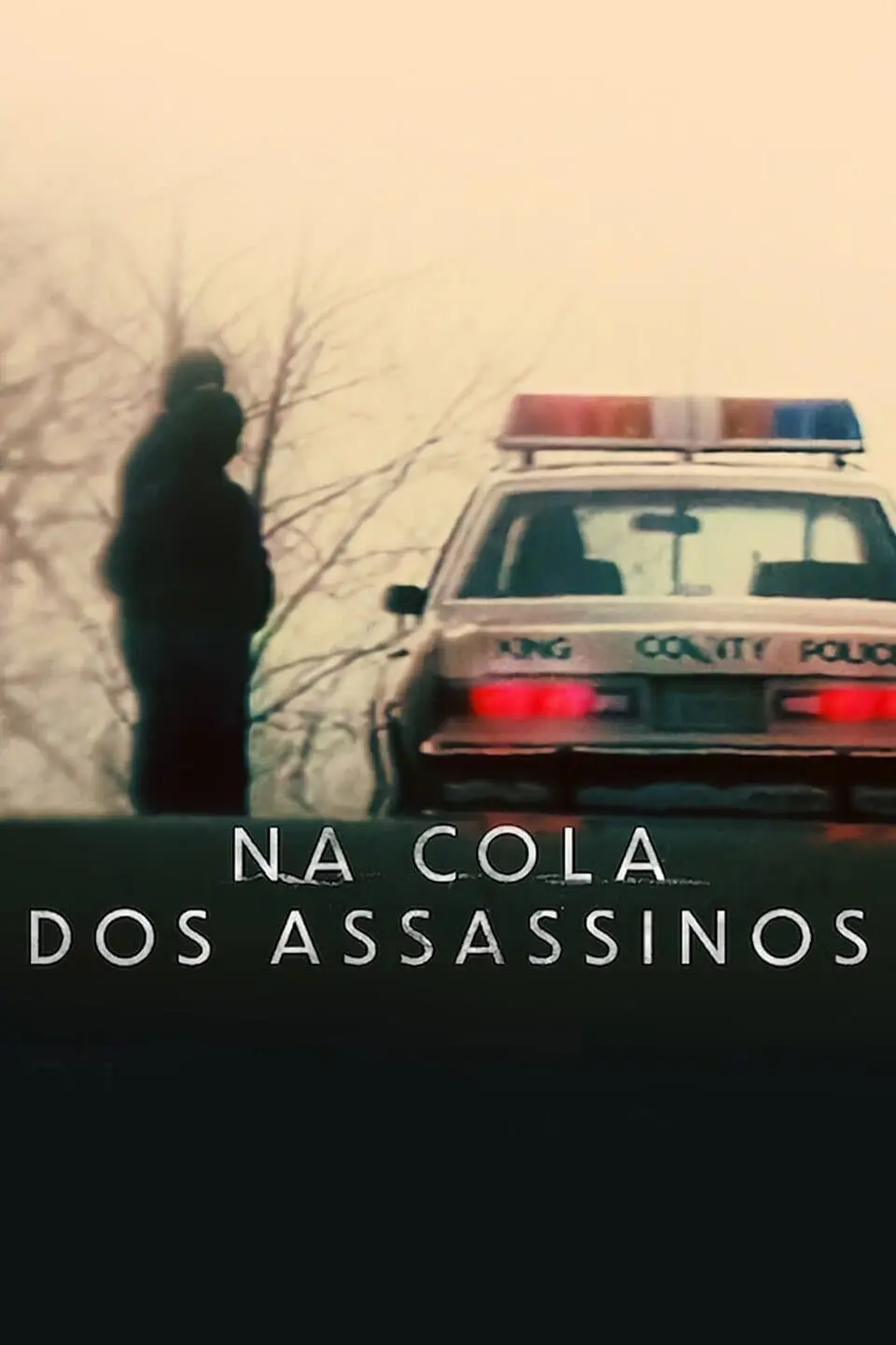 Na Cola dos Assassinos_peliplat