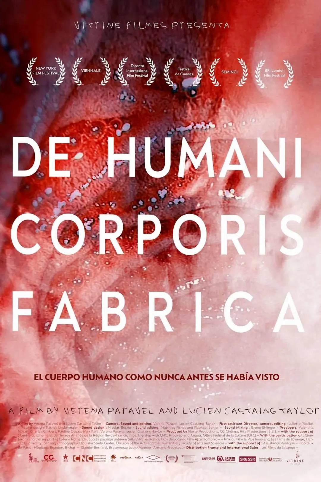 De Humani Corporis Fabrica_peliplat