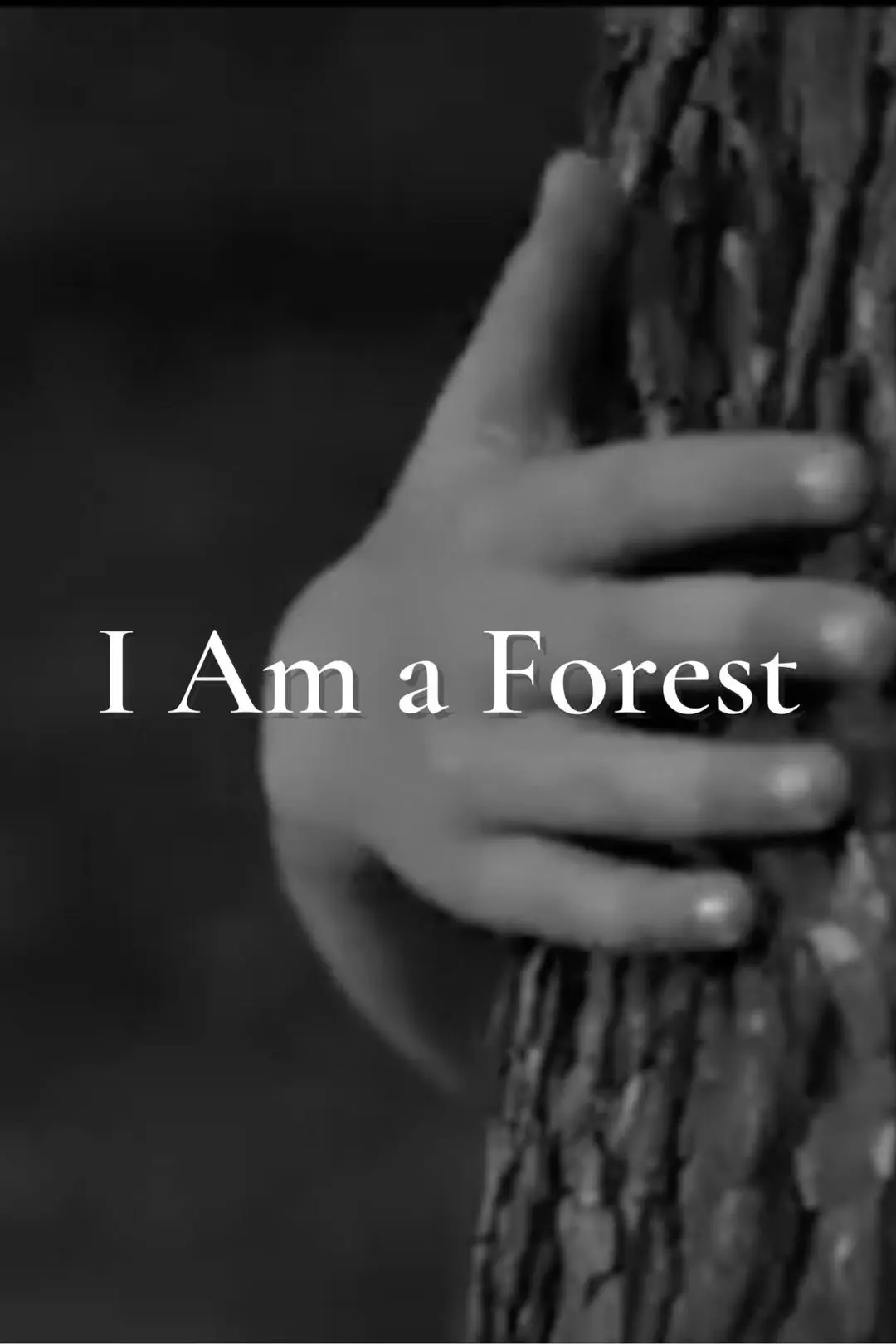 I Am a Forest_peliplat