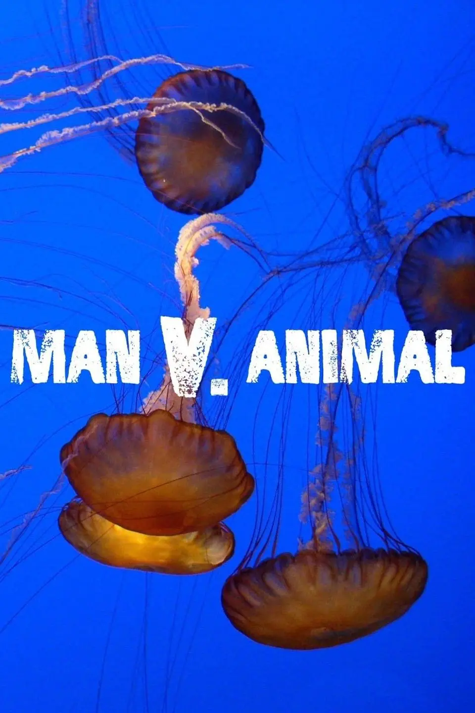 Man v. Animal_peliplat