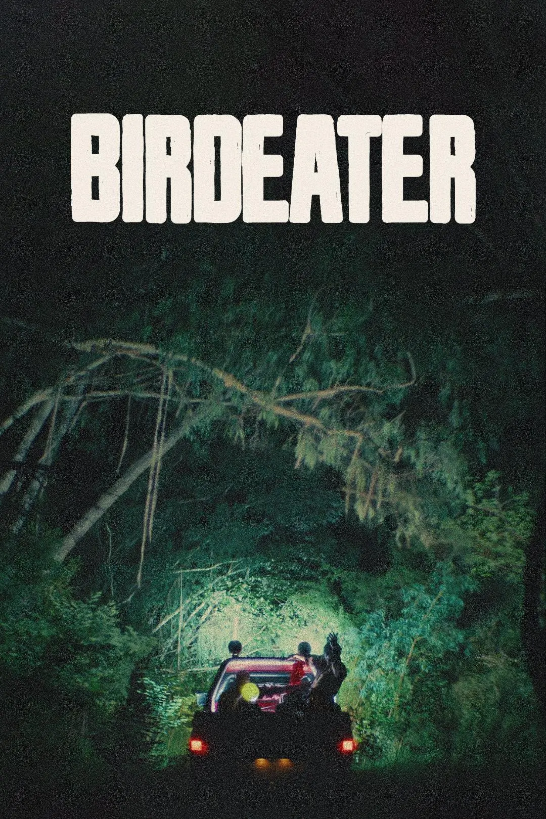 Birdeater_peliplat