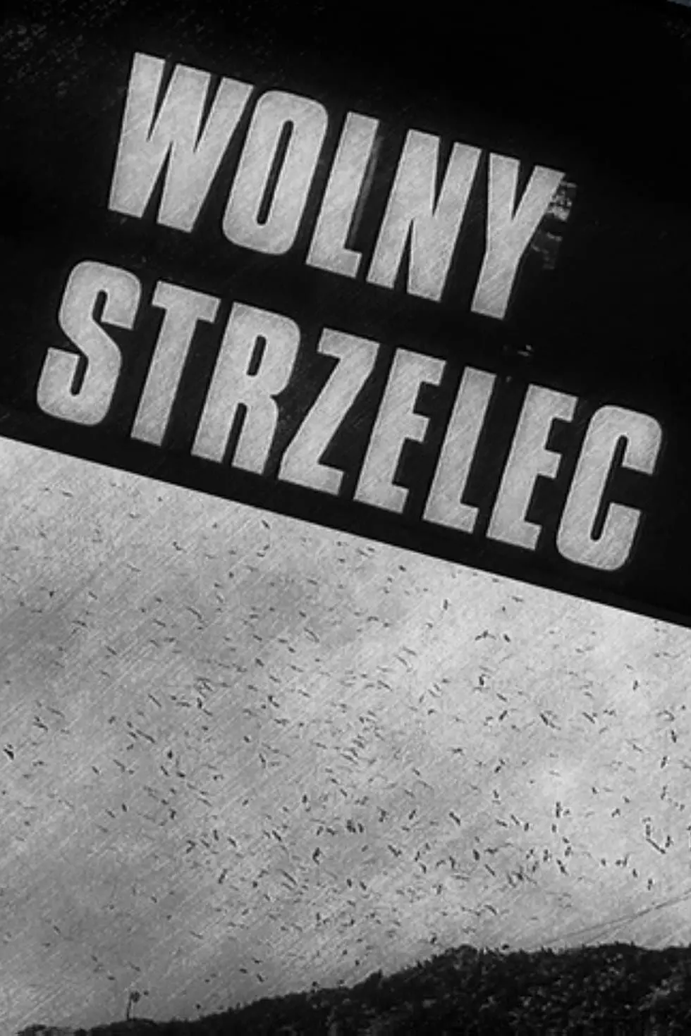 Wolny strzelec_peliplat