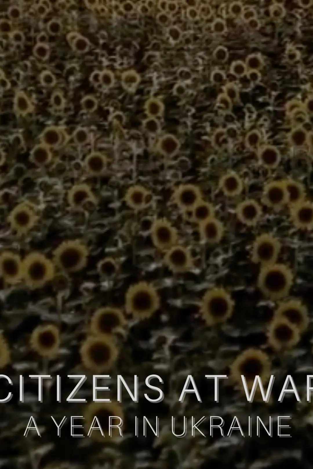 Citizens at War: A Year in Ukraine_peliplat