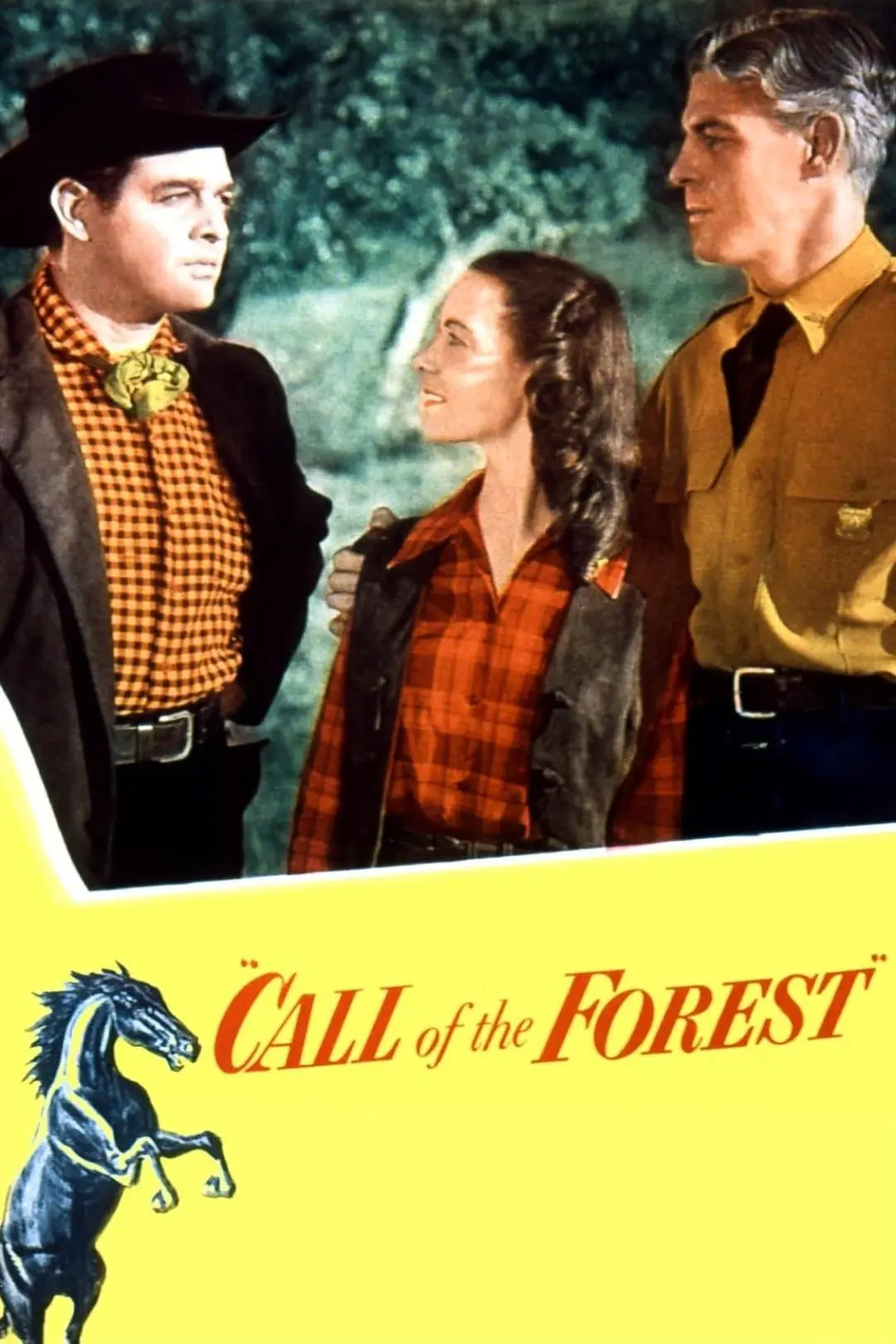 Call of the Forest_peliplat