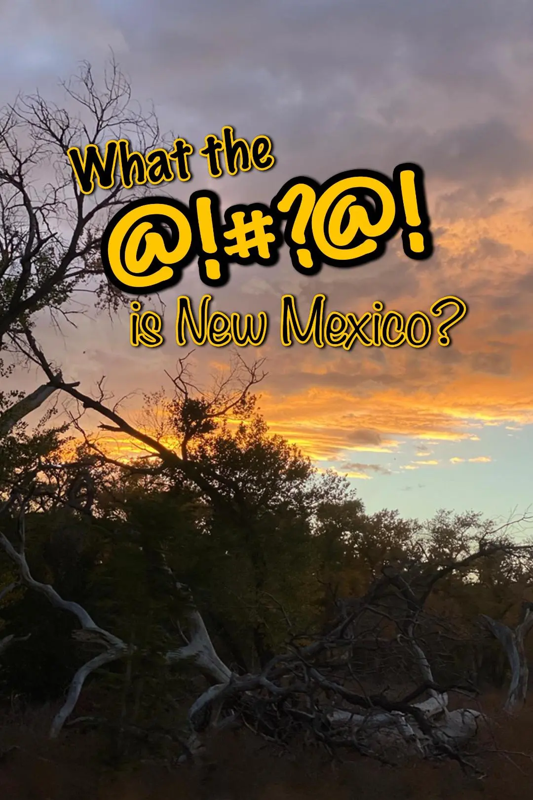 What the @!#?@! is New Mexico?_peliplat