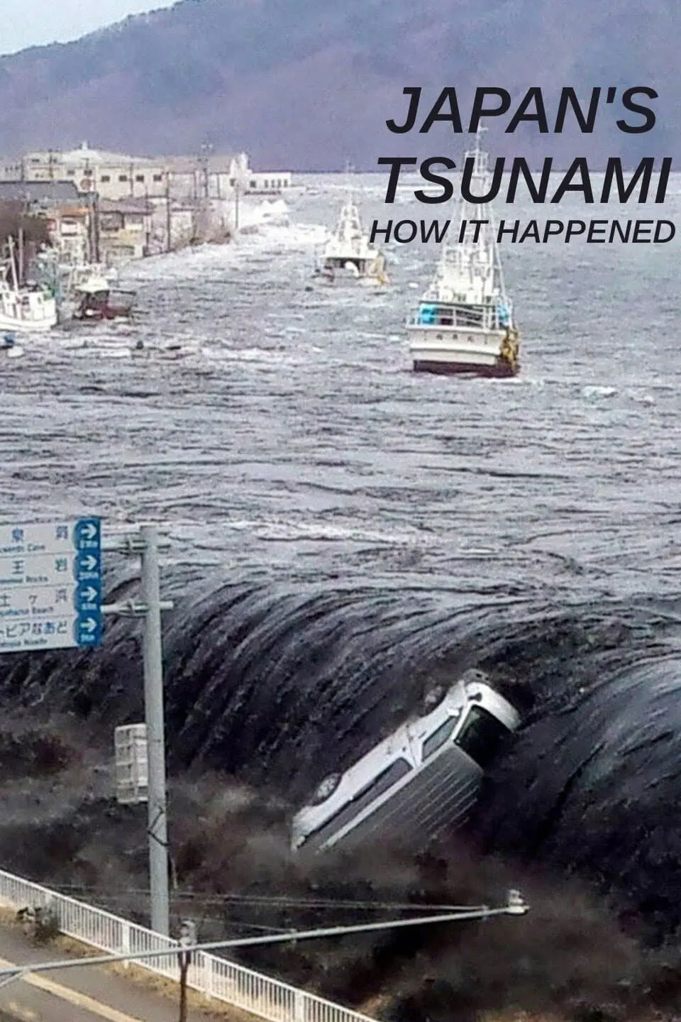 Japan Tsunami: How It Happened_peliplat