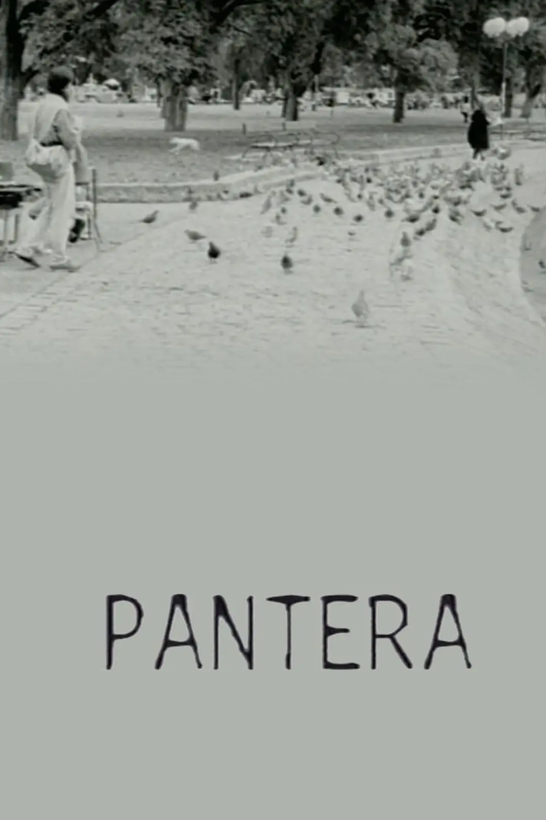 Pantera_peliplat