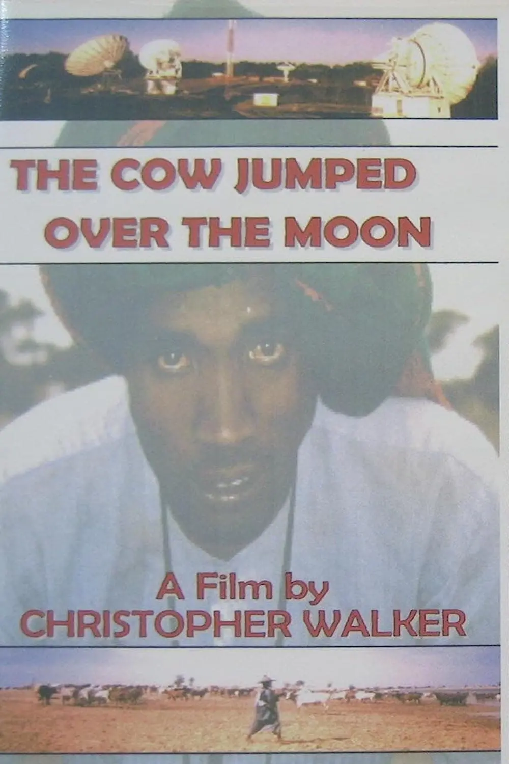 The Cow Jumped Over the Moon_peliplat