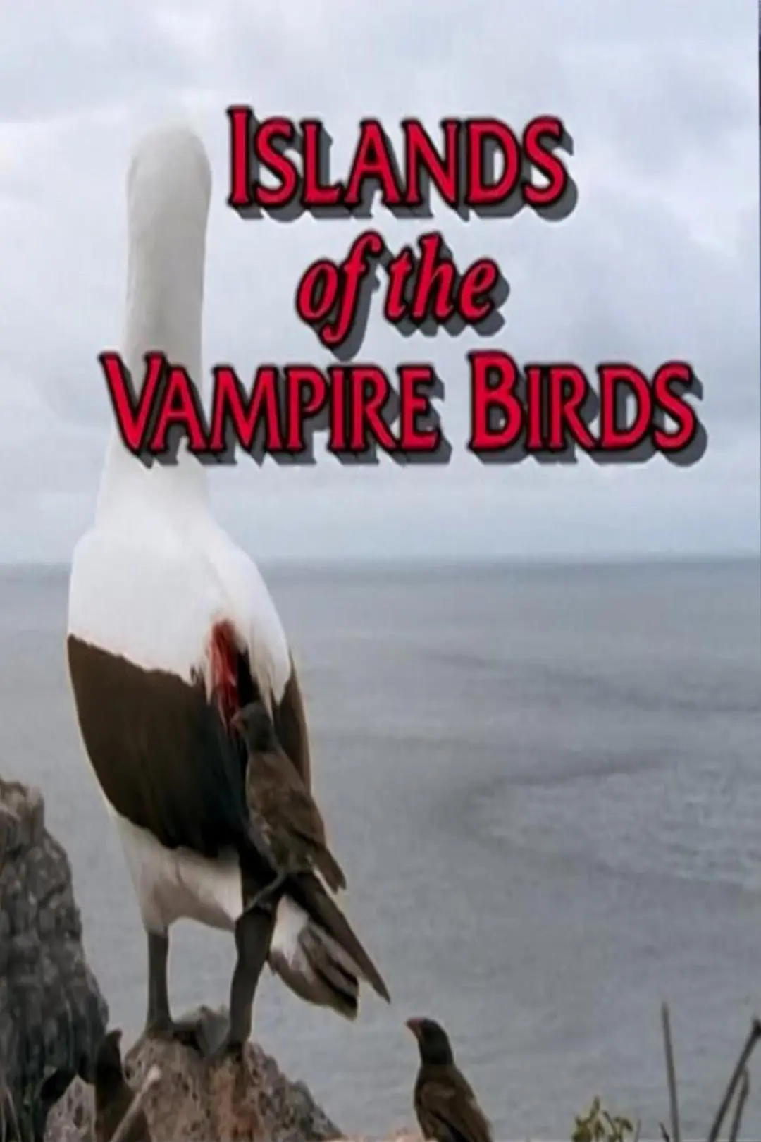 Island of the Vampire Birds_peliplat