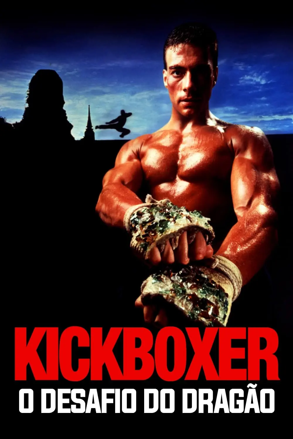 Kickboxer: O Desafio do Dragão_peliplat