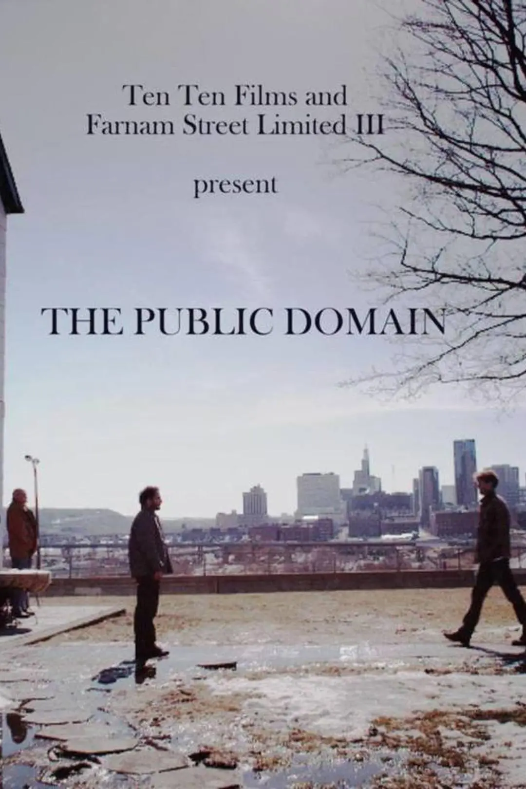 The Public Domain_peliplat