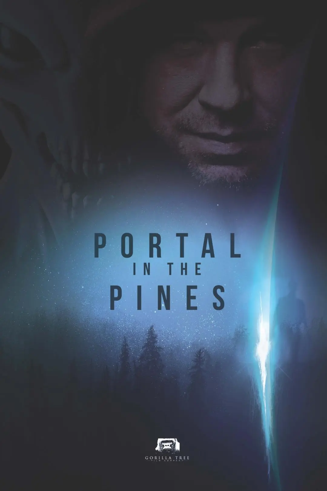 Portal in the Pines_peliplat