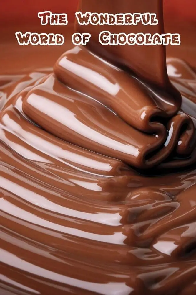 The Wonderful World of Chocolate_peliplat