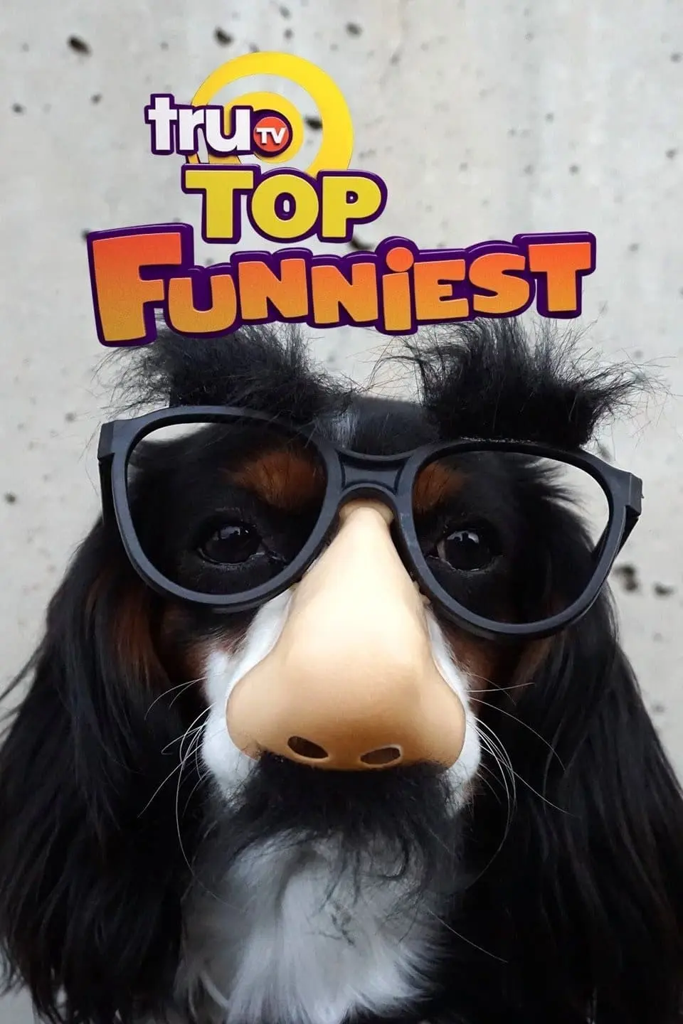 truTV Top Funniest_peliplat