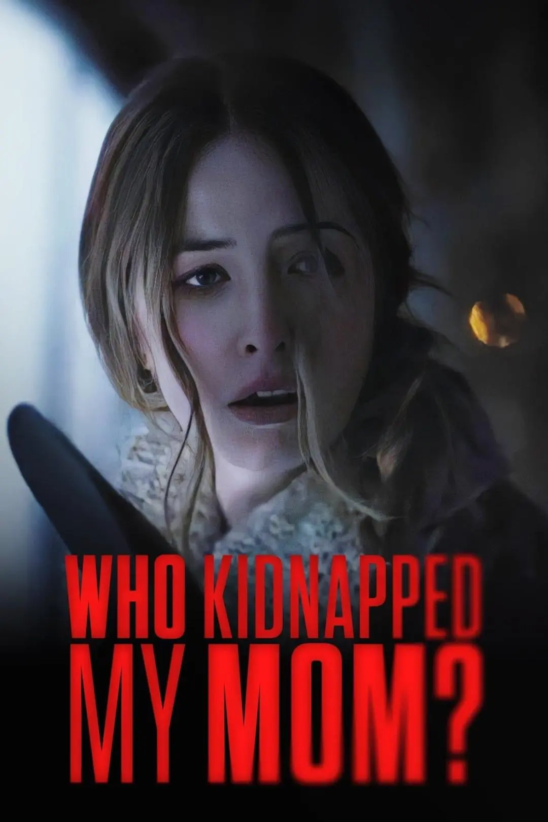 Who Kidnapped My Mom?_peliplat