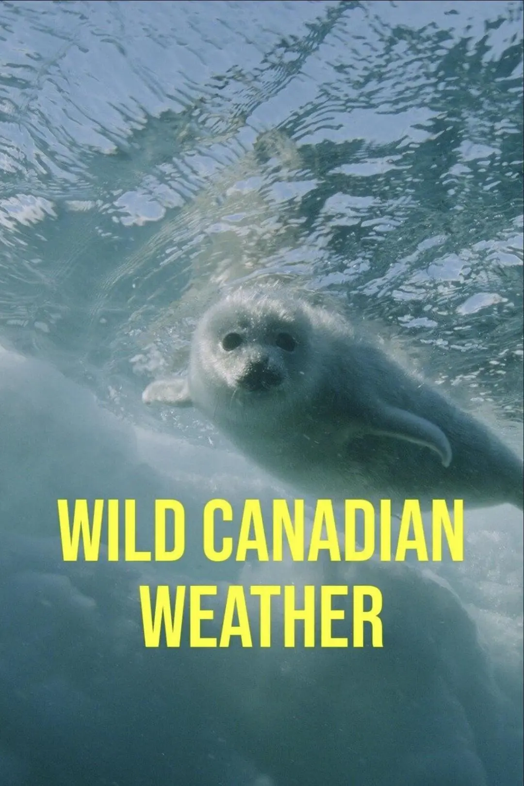 Wild Canadian Weather_peliplat