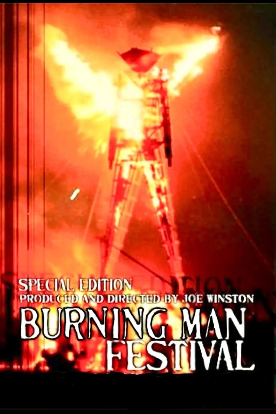 The Burning Man Festival_peliplat