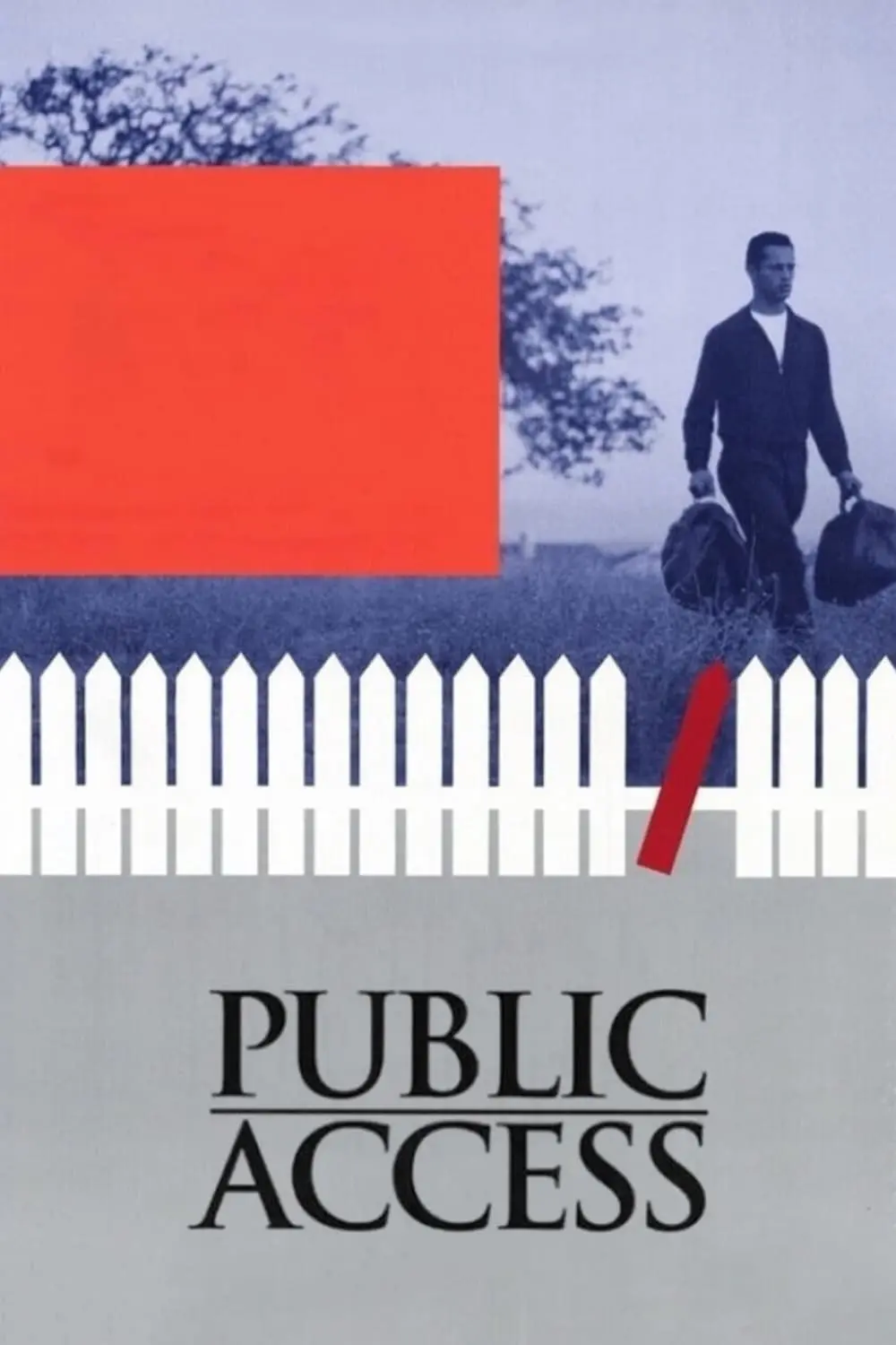 Public Access_peliplat