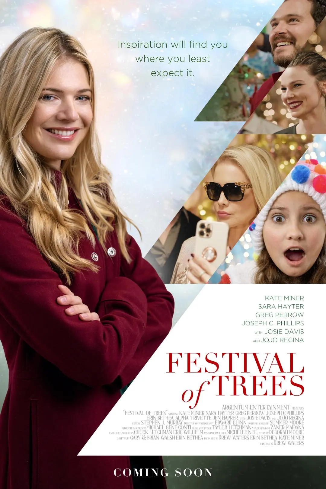 Festival of Trees_peliplat