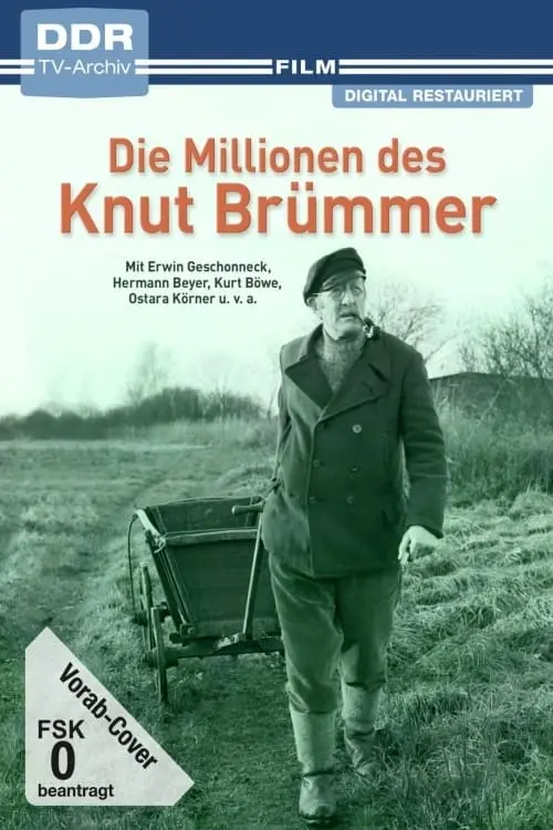 Die Millionen des Knut Brümmer_peliplat