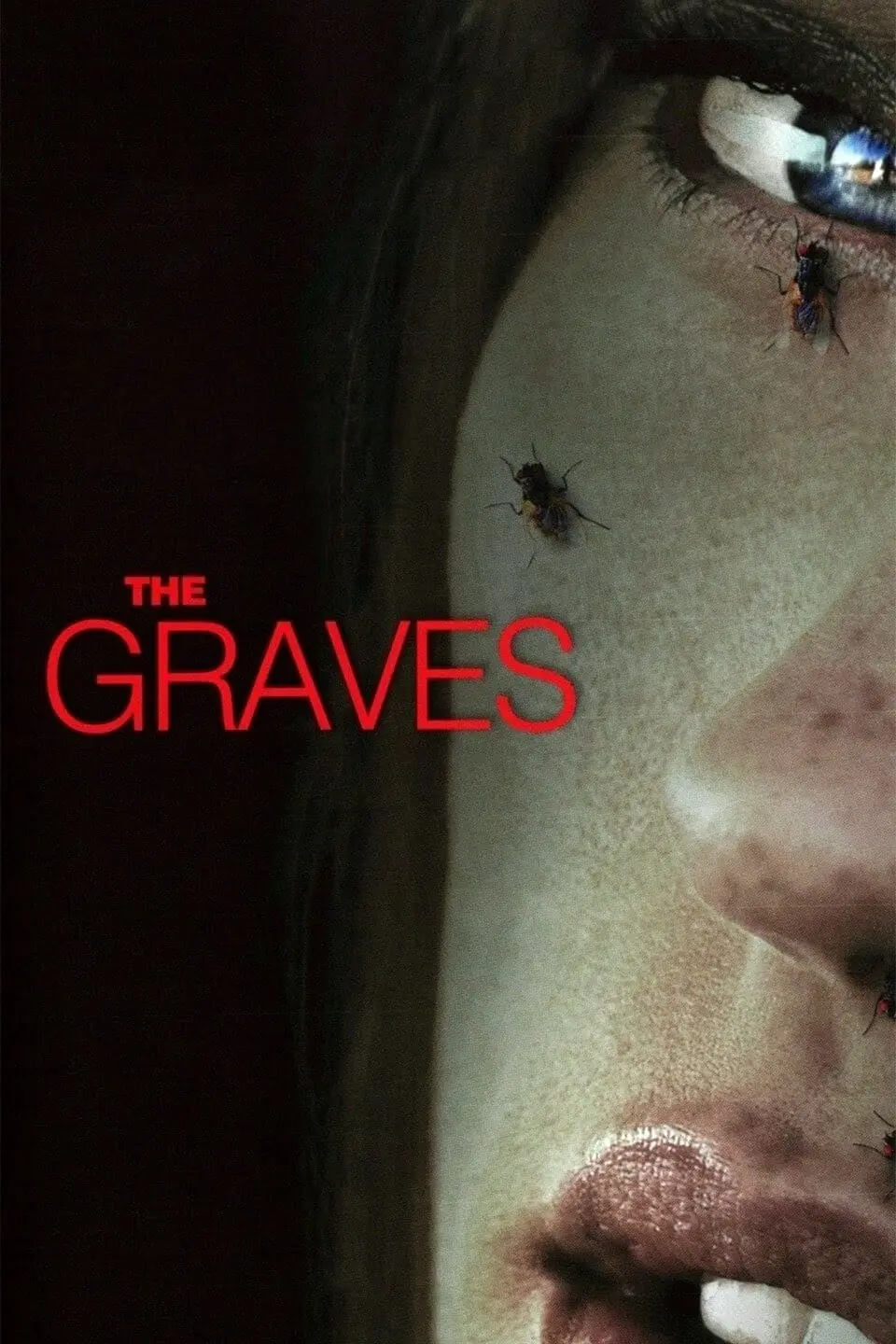 The Graves_peliplat