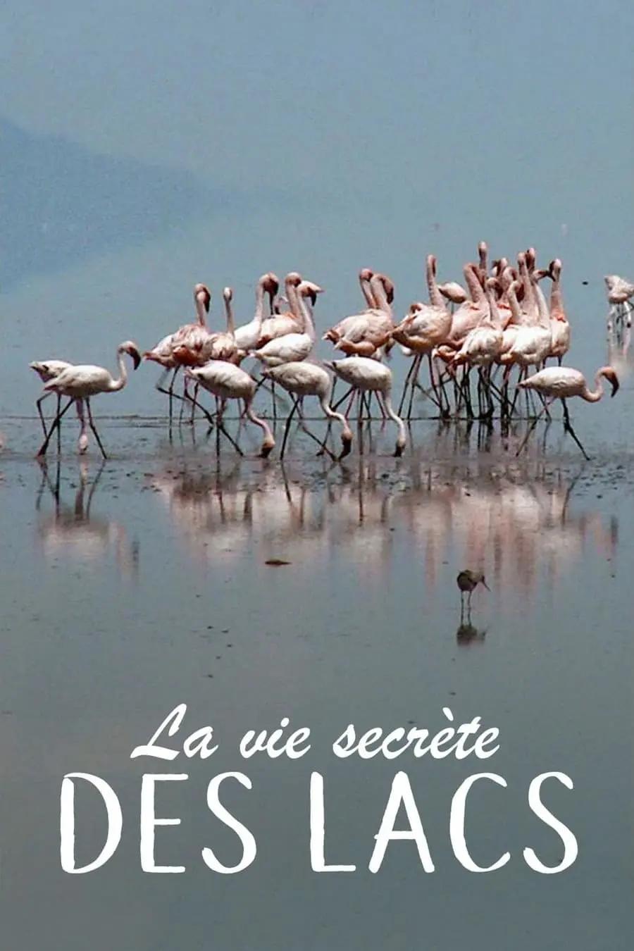 Secret Life of Lakes_peliplat