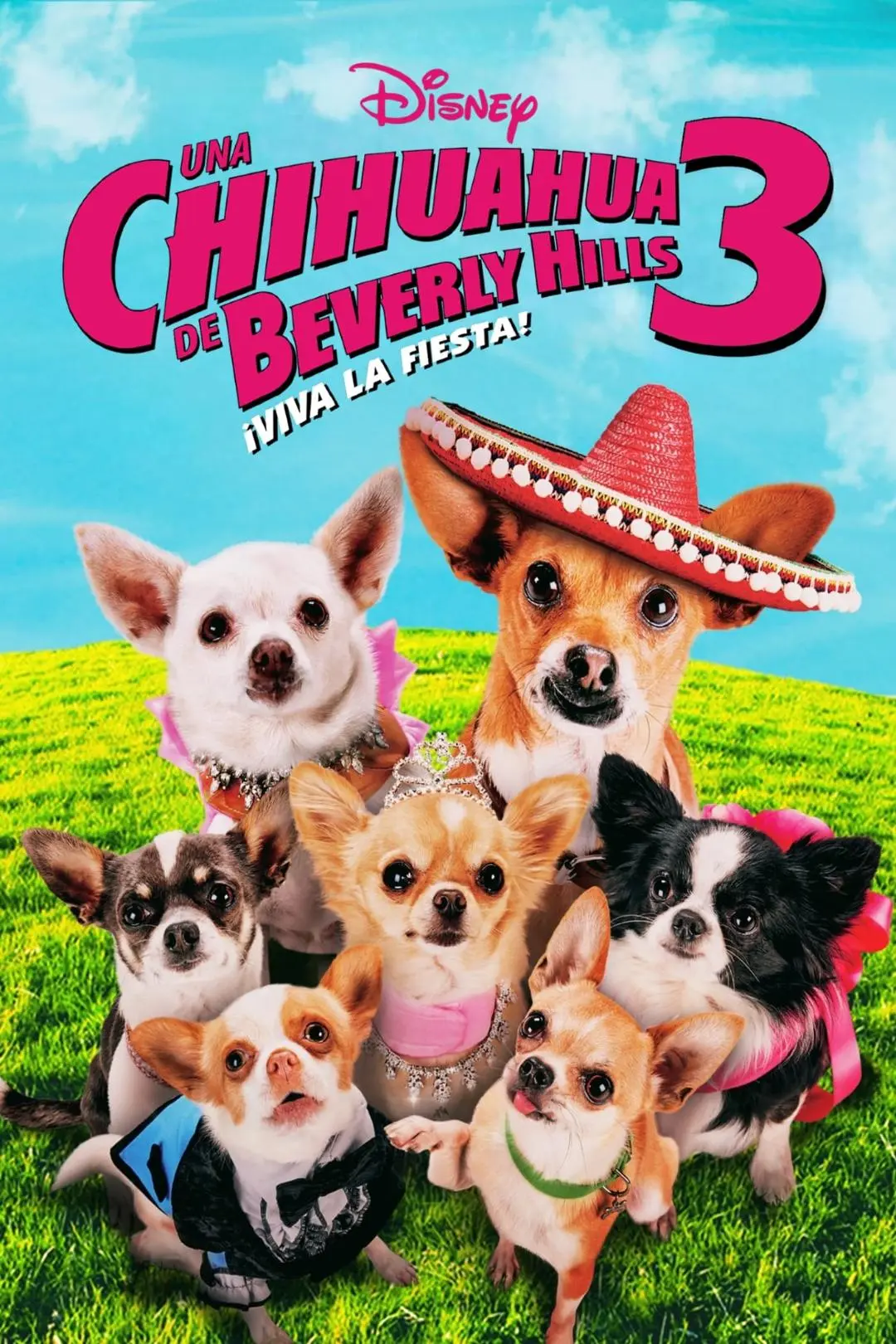 Una Chihuahua de Beverly Hills 3: ¡Viva la fiesta!_peliplat