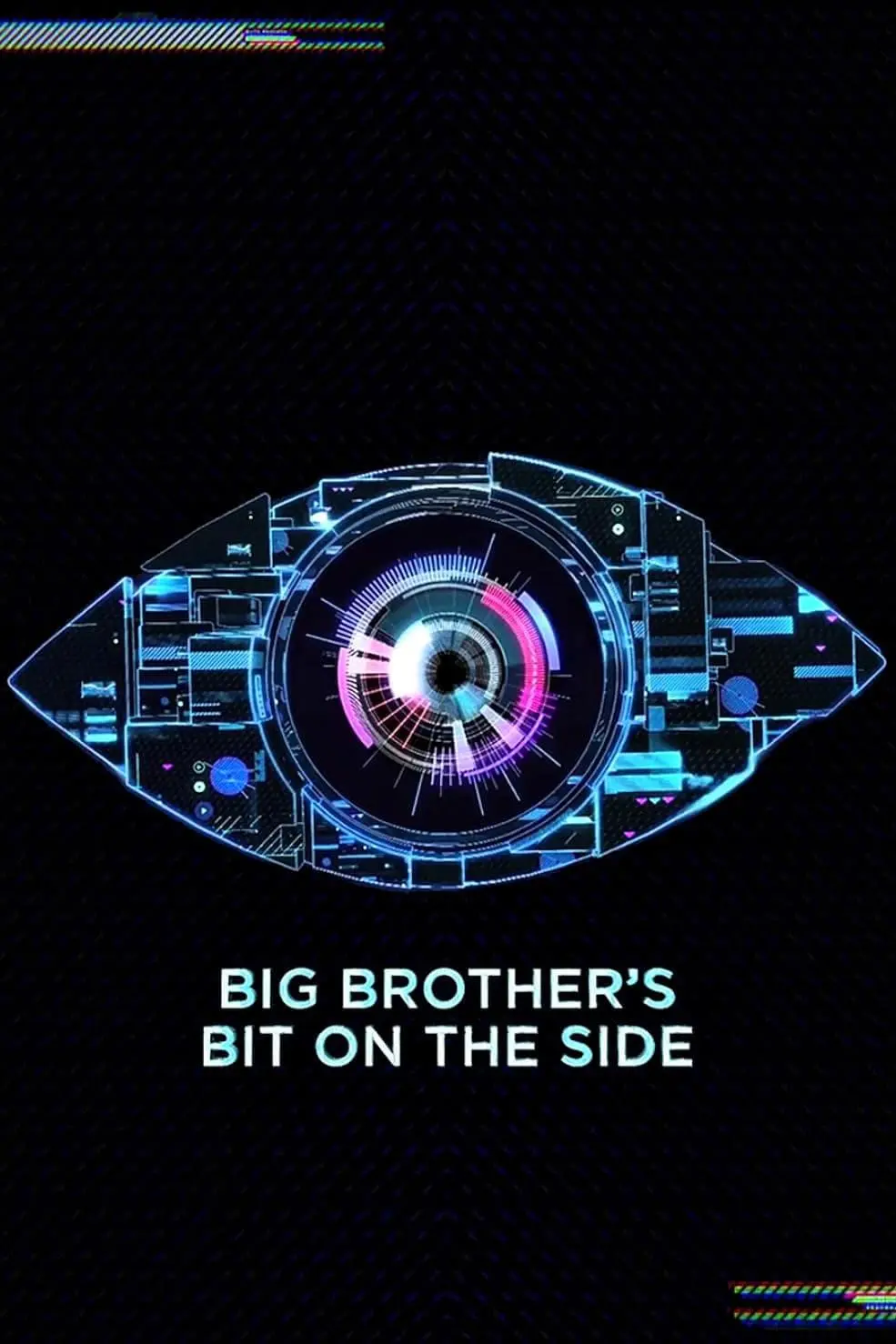 Big Brother's Bit on the Side_peliplat