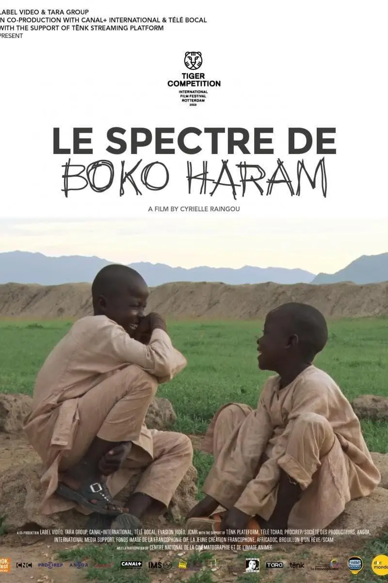 The Spectre of Boko Haram_peliplat