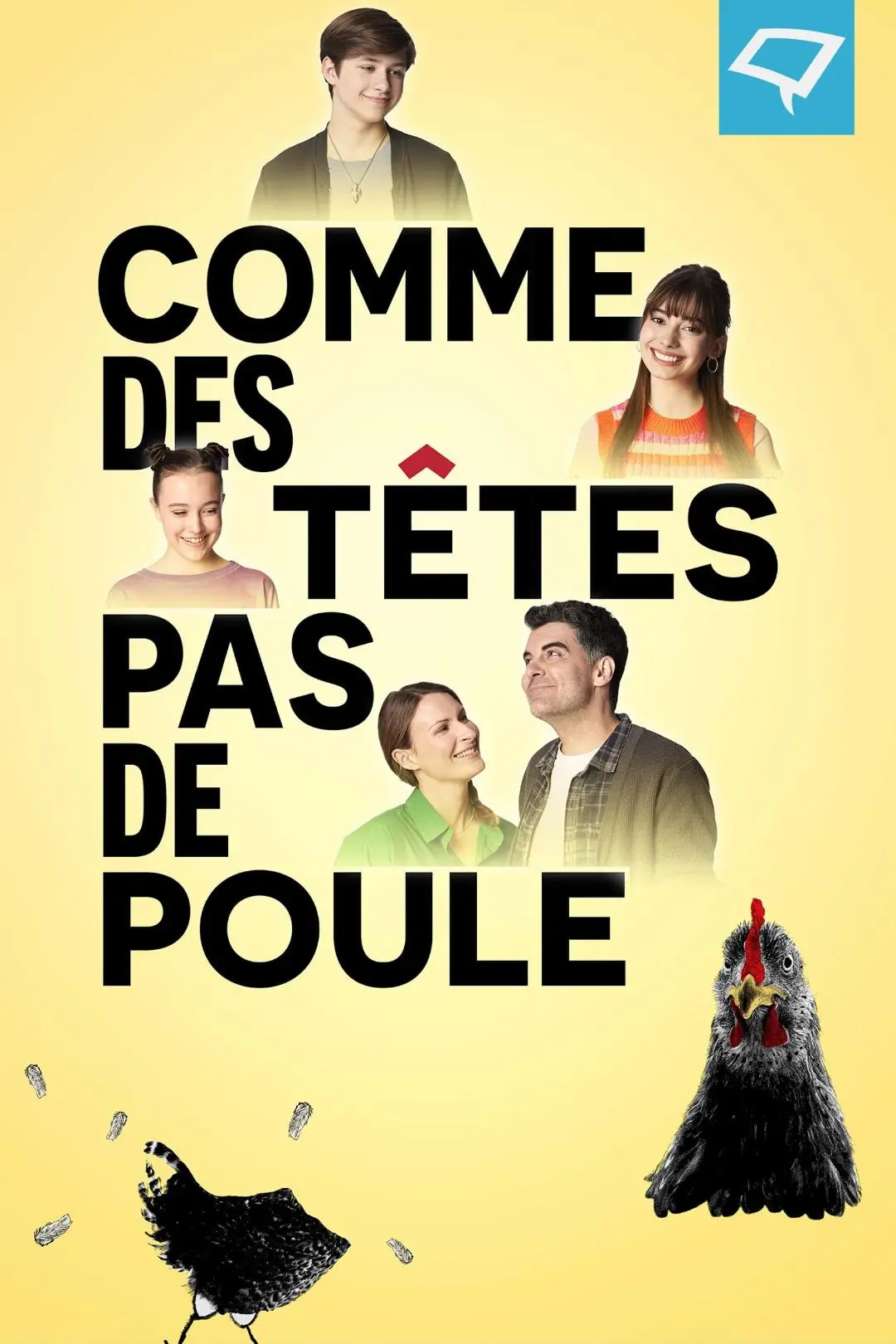 Comme des têtes pas de poule_peliplat