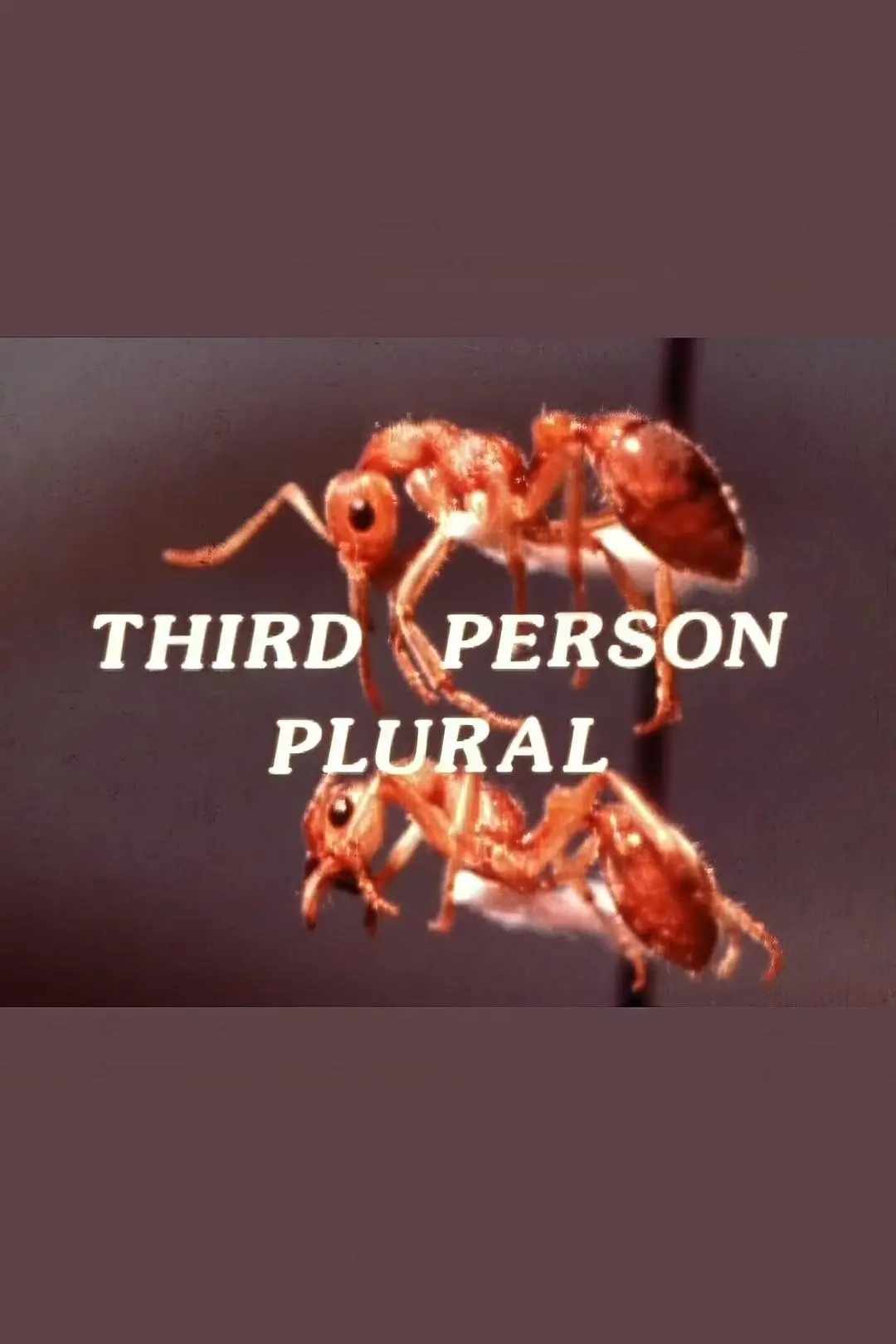 Third Person Plural_peliplat
